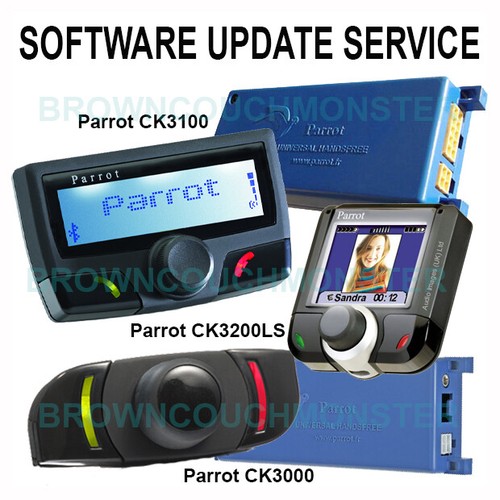 Parrot letter - letter, p