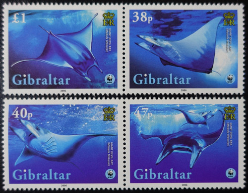 Gibraltar fish manta ray - fish,