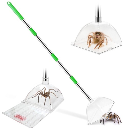 Spider catcher long handle - spider,
