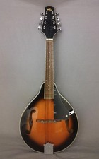 Lorenzo Mandolin  Model 