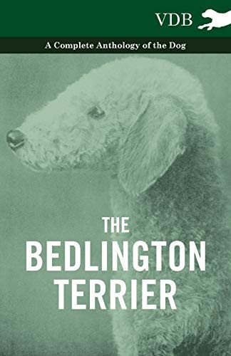 The bedlington terrier - the,