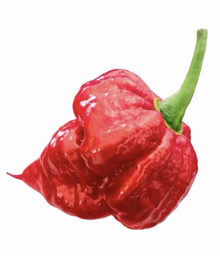 X10 trinidad scorpion red - trinidad,