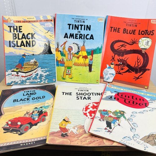 Tintin classic adventures book - tintin,