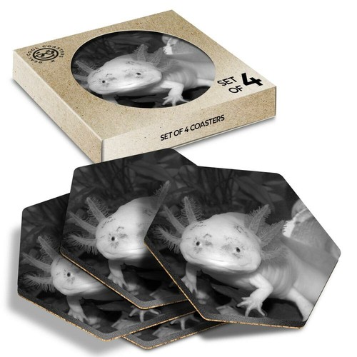 Hexagon coasters bw - 4,