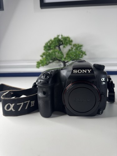Sony alpha a77 2mp - alpha, 24.2mp