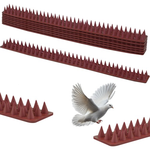 Fence wall security - fence, spikes