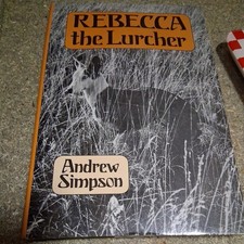 Rebecca the Lurcher by Andrew