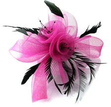 Butterfly Black Feather