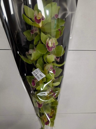 Farm fresh orchid - farm,