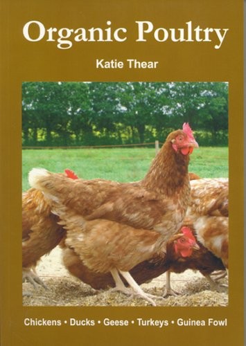 Organic poultry katie thear - poultry-katie,