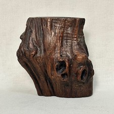  Old Chinese Tree Root