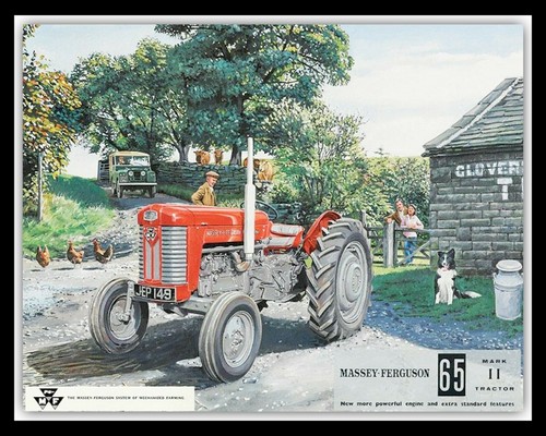 Massey ferguson farm - 65,