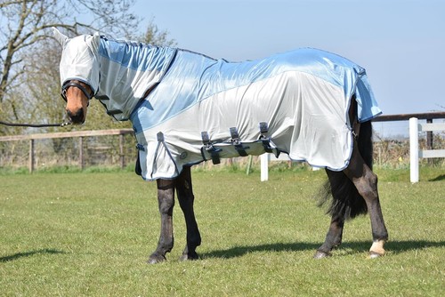 Horse fly rug combo all - horse,