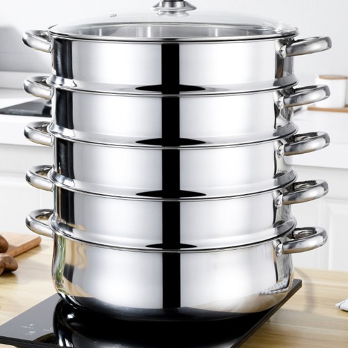 Pro layer steam - 5,