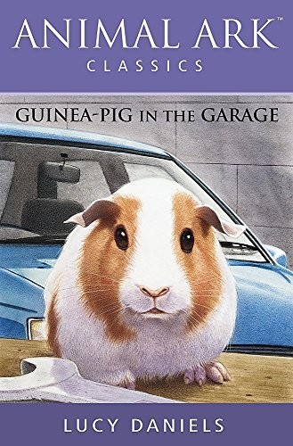 Guinea pig the garage - in,