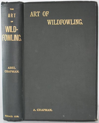 First lessons the art of - first,