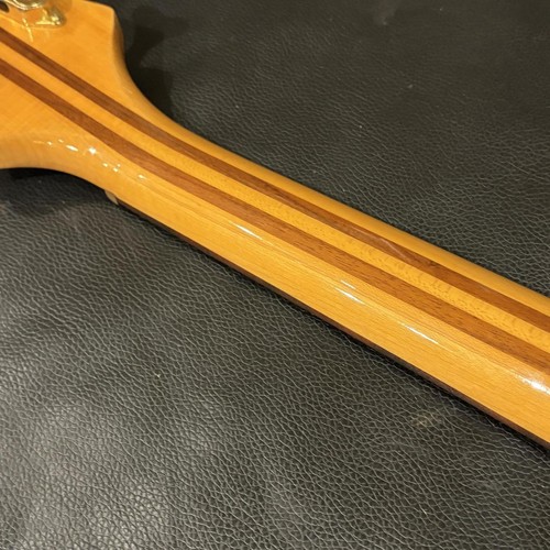 Aria pro rsz - sb-rsz, rudy