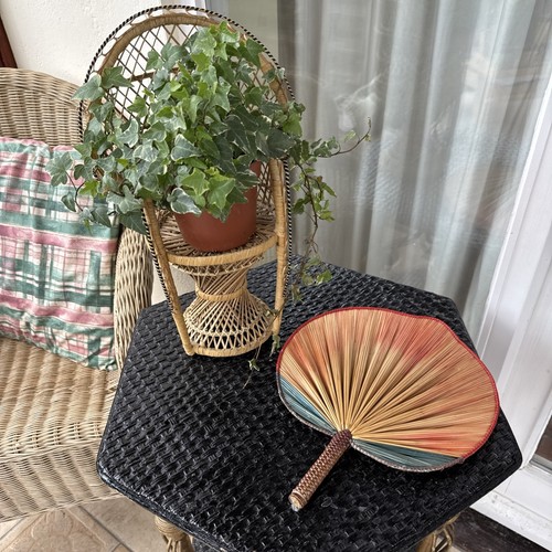Boho small wicker peacock - boho,