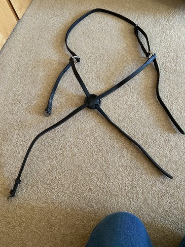 Full size black grackle - size,