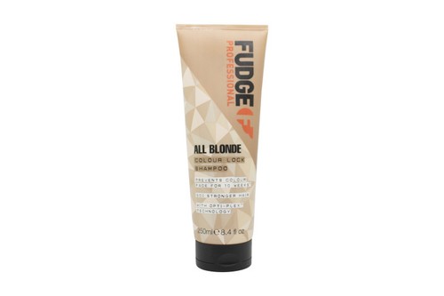 Fudge professional all - professional,