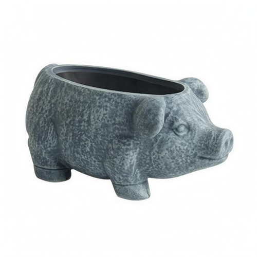 Piggy succulent planter - piggy,