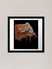 Weimaraner Playing Piano