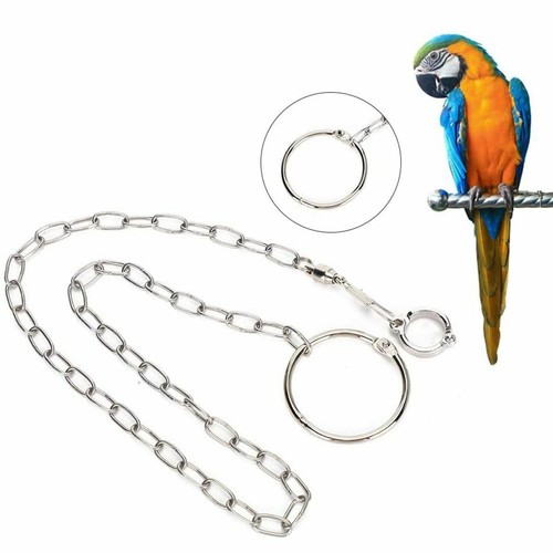 Pet parrot leg ring - pet,