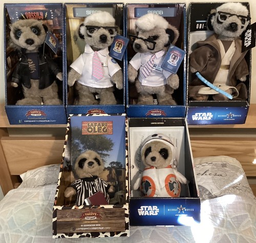 Compare the market meerkat - the,