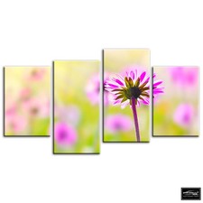 Flowers BOTANICAL   Floral BOX FRAMED CANVAS ART Picture HDR 280gsm