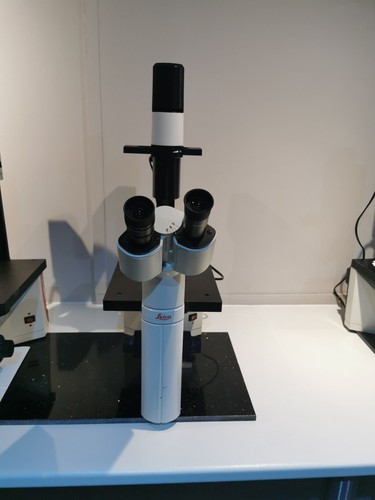 Leica microscope - dm,