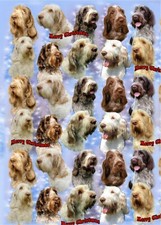Italian Spinone Dog Christmas Gift Wrapping Paper - by Starprint - One sheet