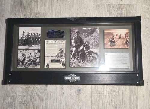 Harley davidson 2010 military - harley,