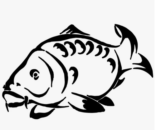 Mirror carp decal - mirror,
