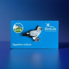 RSPB-Pin Badge  *New  EGYPTIAN