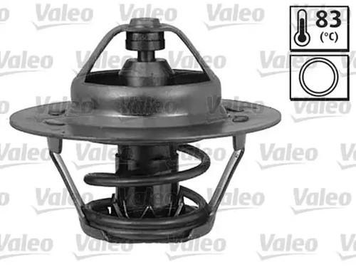 Thermostat without housing