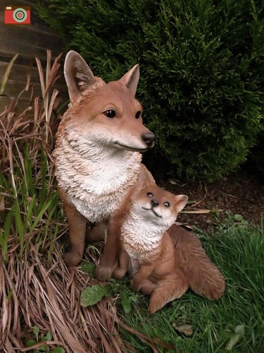 Fox cub mother vivid arts - fox,
