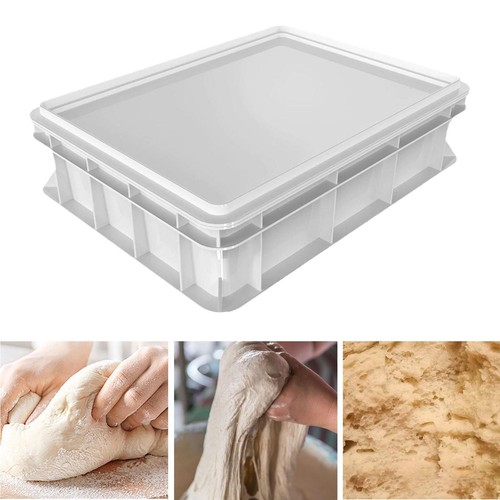 Pizza dough proofing box fruit - dough,