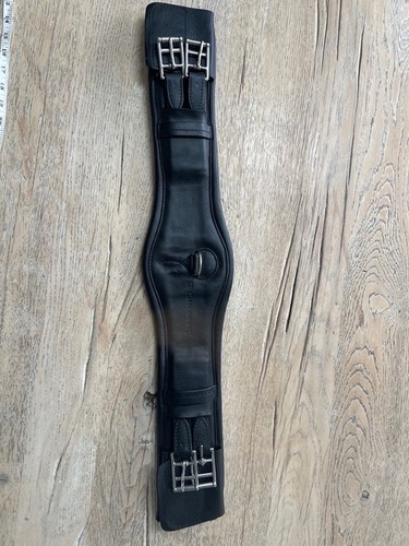 Childeric stop dressage - childeric,