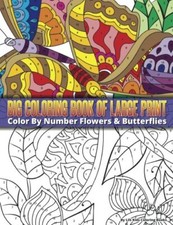 Color By Number Large Print