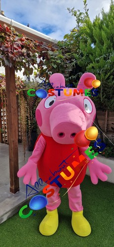 Hire peppa pig lookalike - hire,