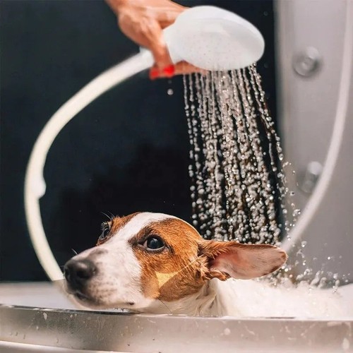 Pet bath shower sprayer - shower, dog