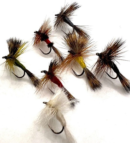 Wulff trout fly fishing dry - fishing,