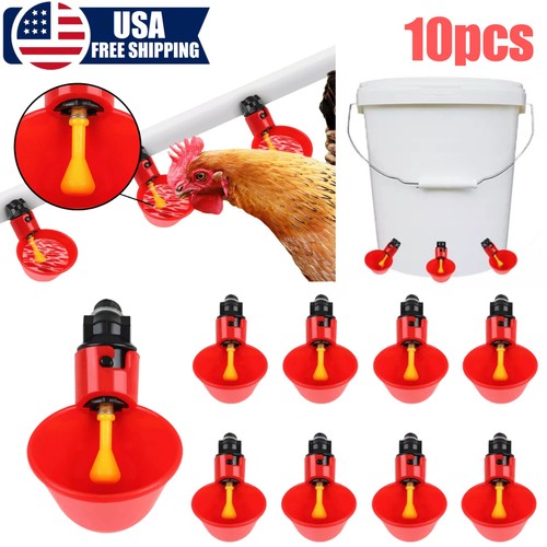 10pcs poultry water drinking - 10pcs,