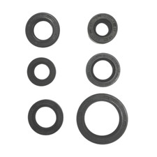 Engine Oil Seal Kit for Honda