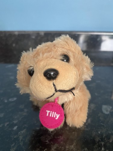 Tilly dog golden retriever - b&m,