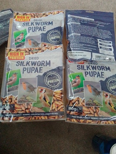 Dried silkworm pupae - 18, packs