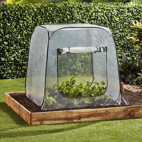Garden grow outdoor - garden,