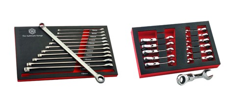 Double ring ratchet spanner - xl,