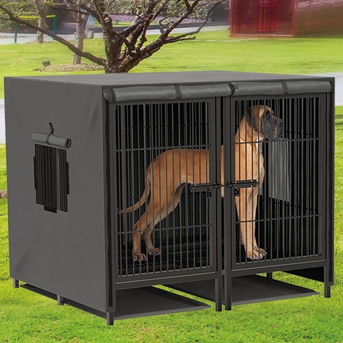 Extra large double dog - large,