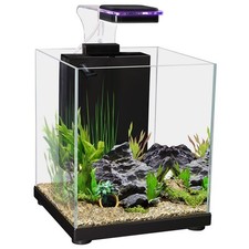 Aqua One Betta Sanctuary 10L Aquarium Siamese Fighter Fish Tank LED Light Filter